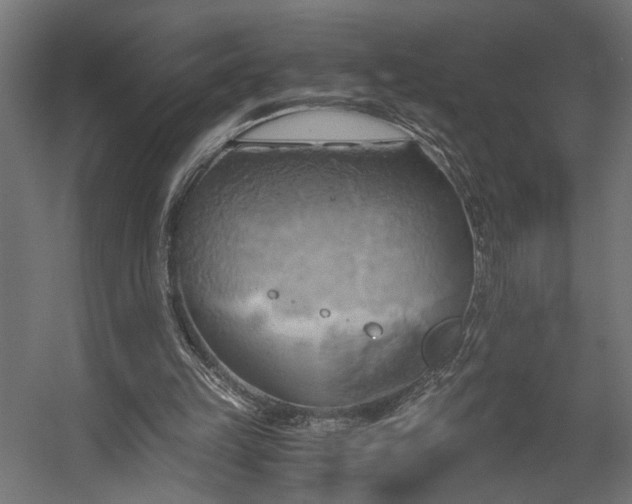 X0000058800149200510031329