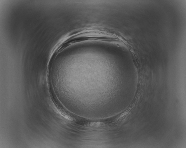 X0000058800152200510031329