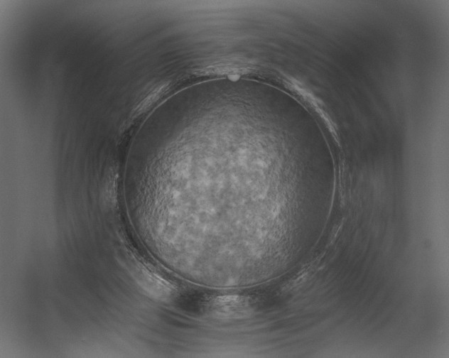 X0000058800153200510031329