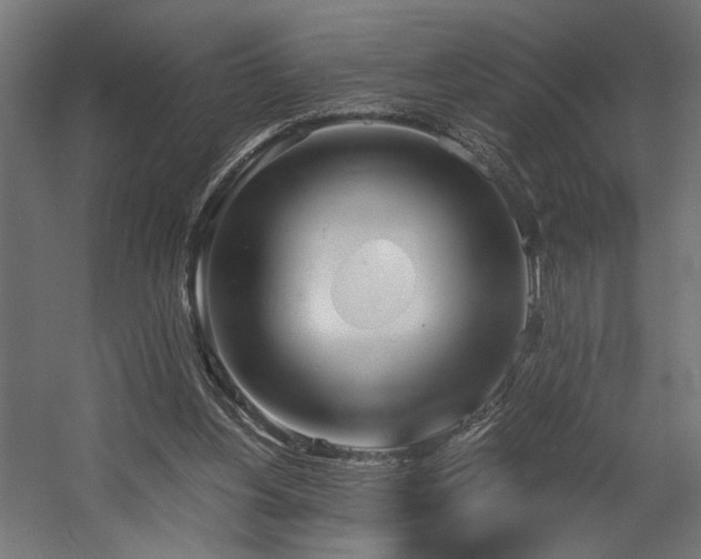X0000058800156200510031329