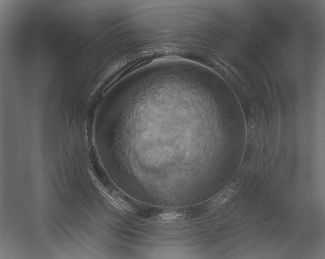 X0000058800158200510031329