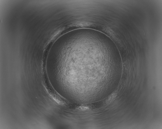 X0000058800159200510031329