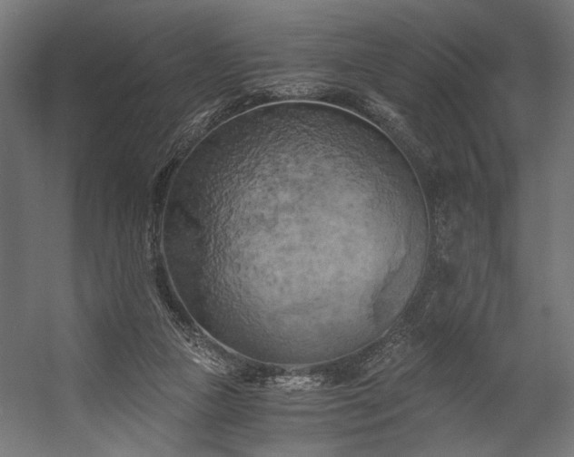 X0000058800161200510031329