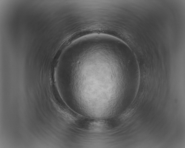 X0000058800164200510031329