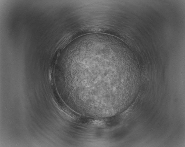X0000058800166200510031329