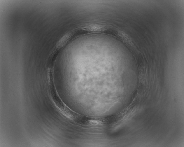 X0000058800167200510031329