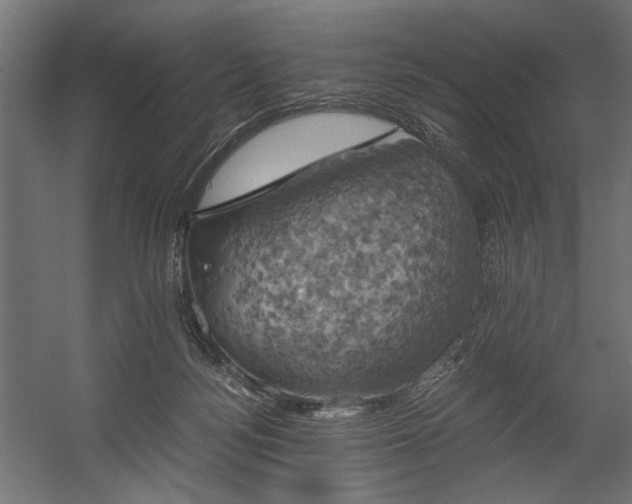X0000058800172200510031330
