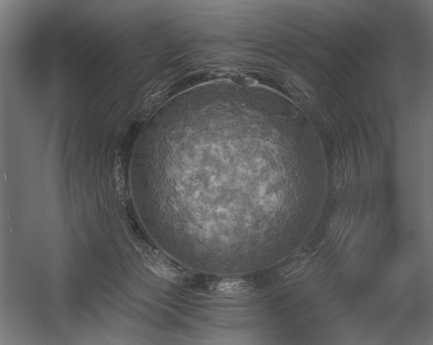 X0000058800173200510031330