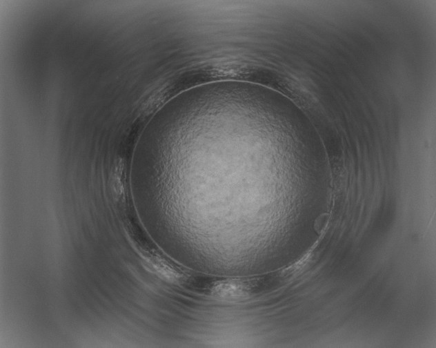 X0000058800174200510031330