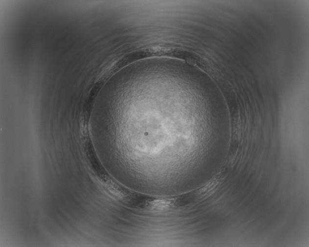 X0000058800176200510031330