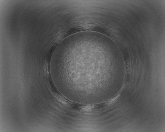 X0000058800182200510031330
