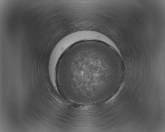 X0000058800186200510031330