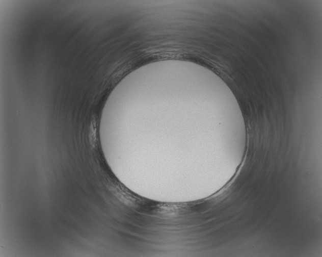 X0000058800190200510031330