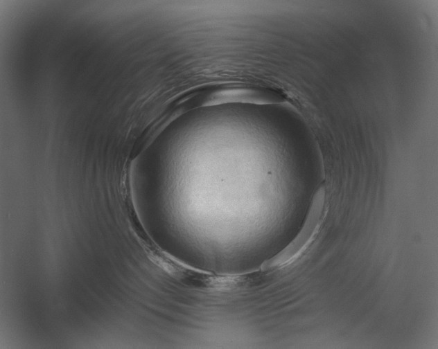 X0000058800192200510031330