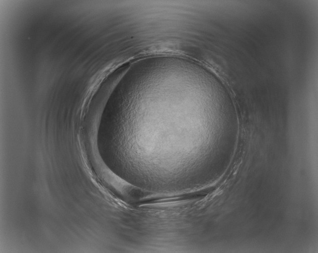 X0000058800193200510031329