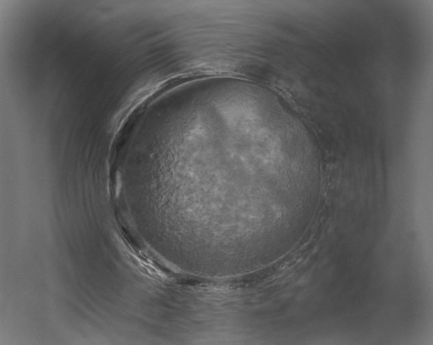 X0000058800194200510031329