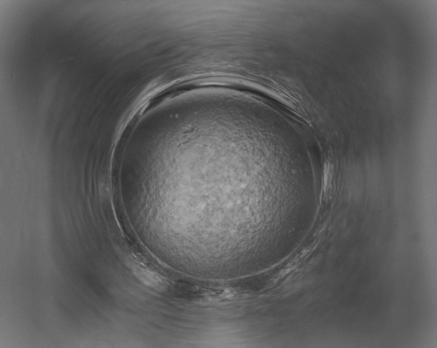X0000058800195200510031329