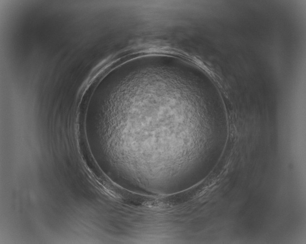 X0000058800199200510031329