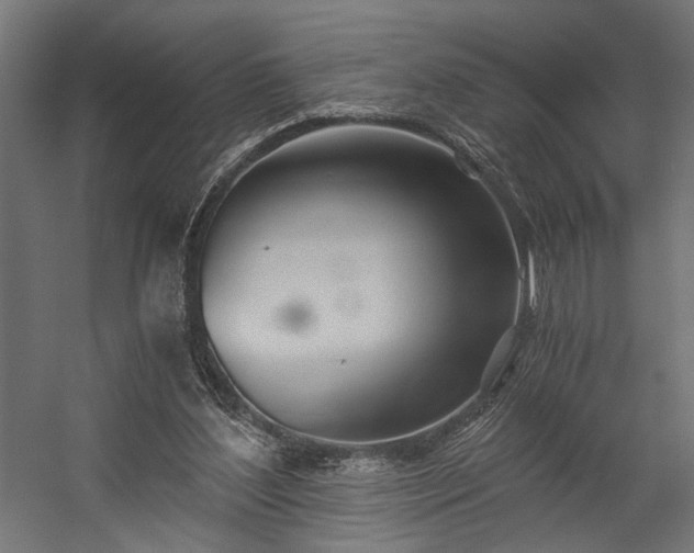 X0000058800204200510031329