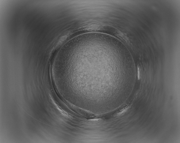 X0000058800205200510031329