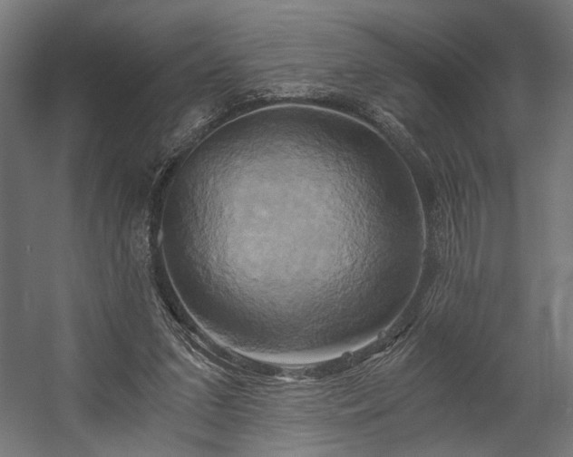 X0000058800207200510031329