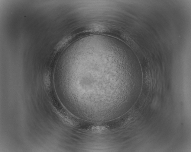 X0000058800208200510031329