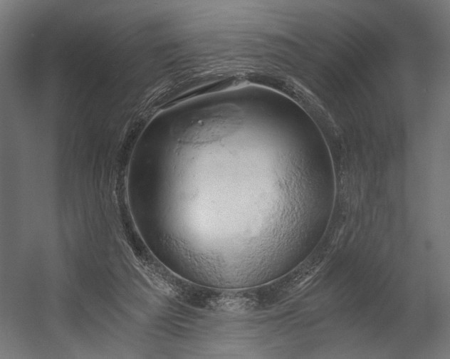 X0000058800209200510031329