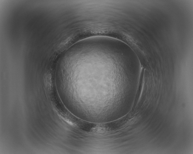 X0000058800211200510031329