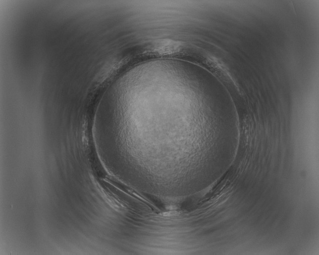 X0000058800212200510031329
