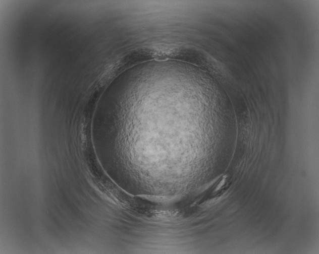 X0000058800215200510031329