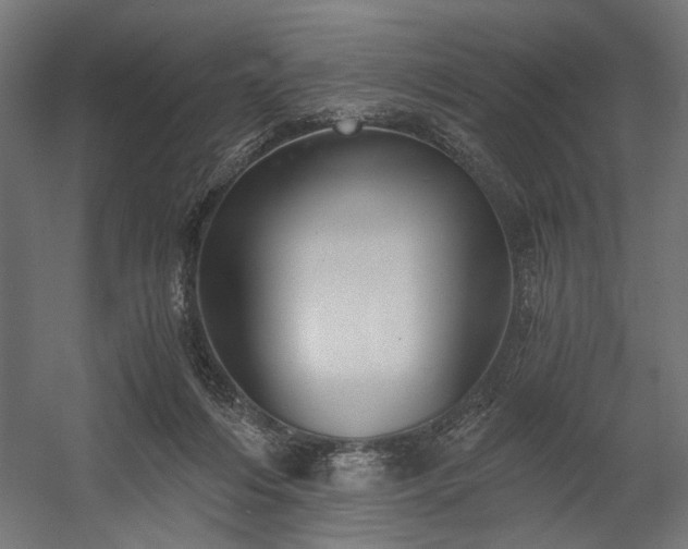 X0000058800216200510031329