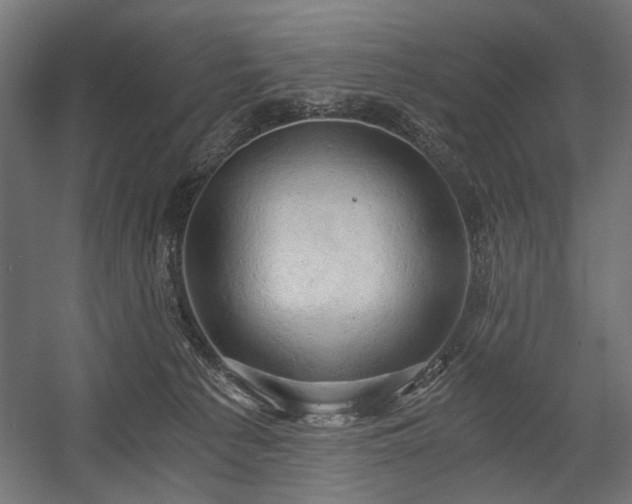 X0000058800225200510031329