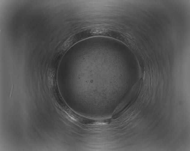 X0000058800227200510031328