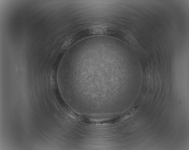 X0000058800228200510031328