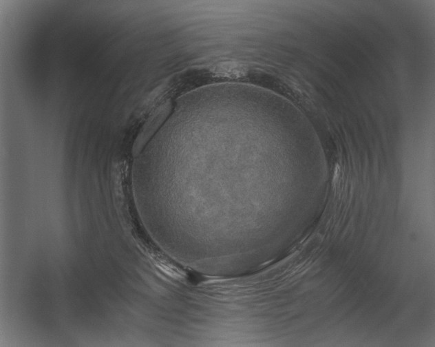 X0000058800229200510031328