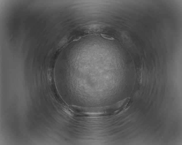 X0000058800232200510031328