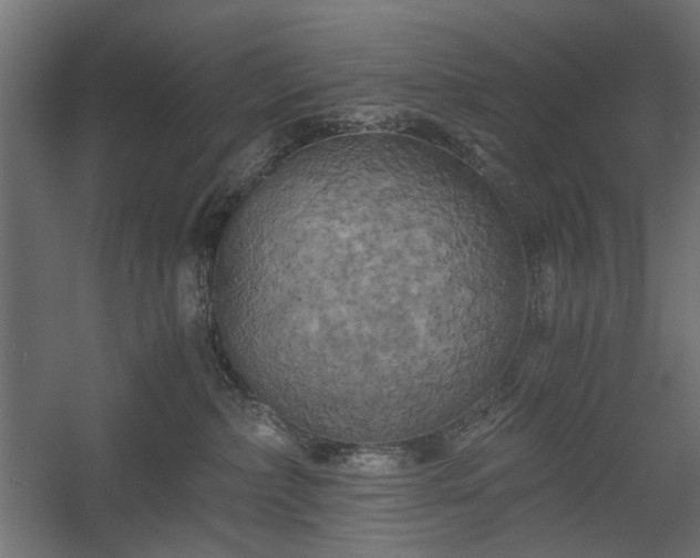 X0000058800236200510031328