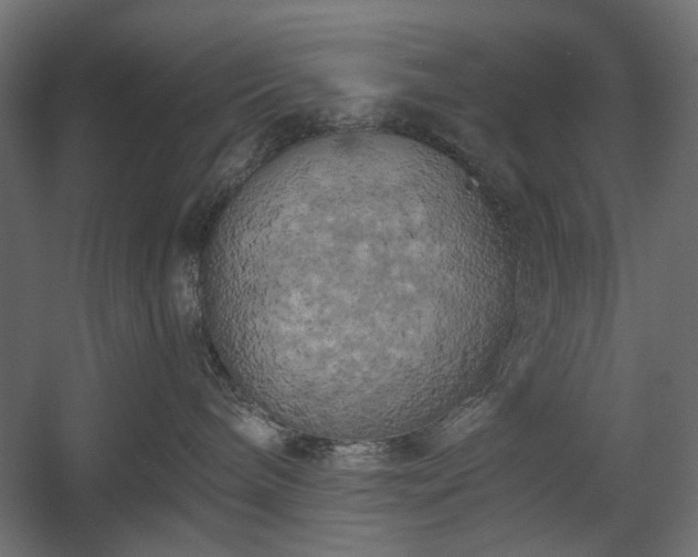 X0000058800240200510031328