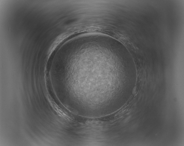 X0000058800242200510031327