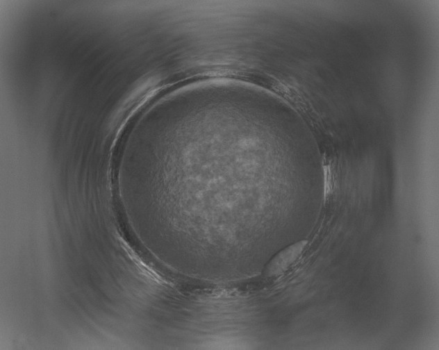 X0000058800243200510031327