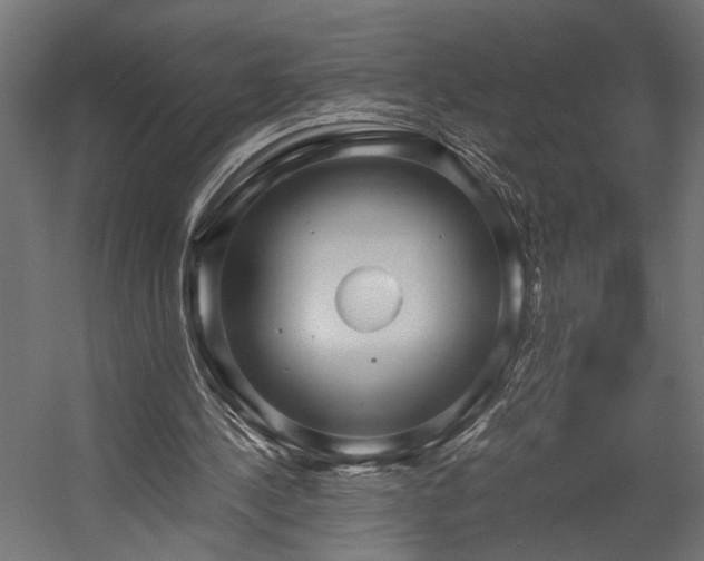 X0000058800244200510031327
