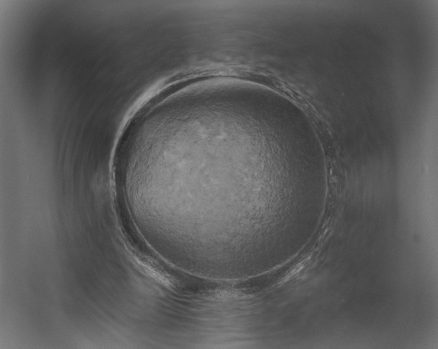 X0000058800246200510031328