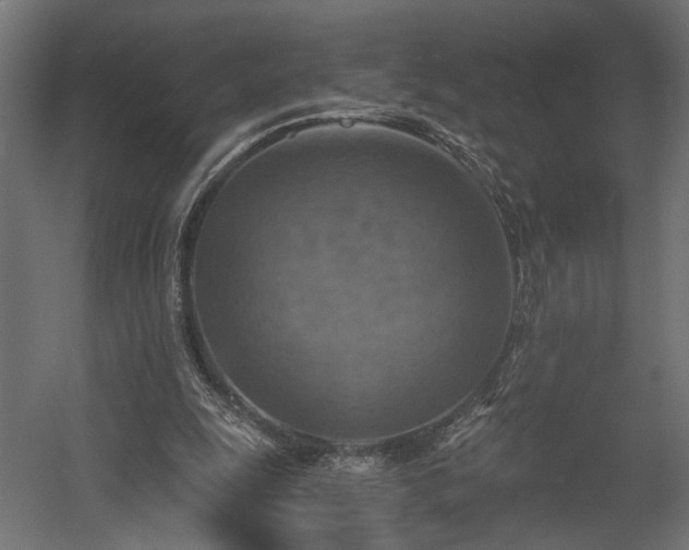 X0000058800247200510031328