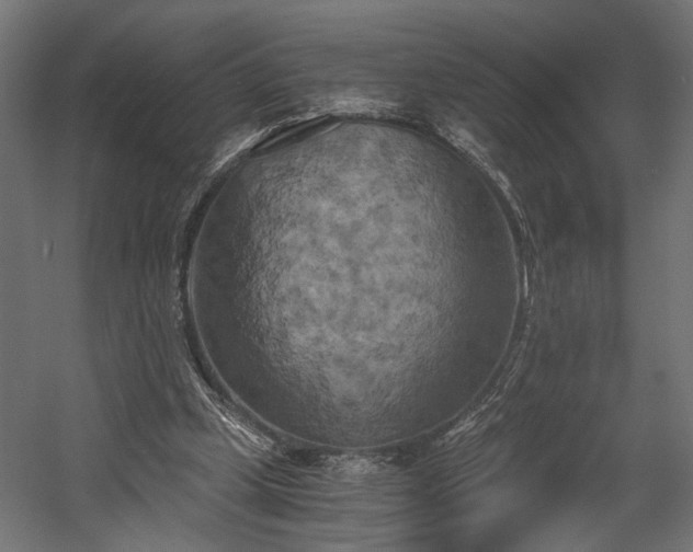 X0000058800249200510031328