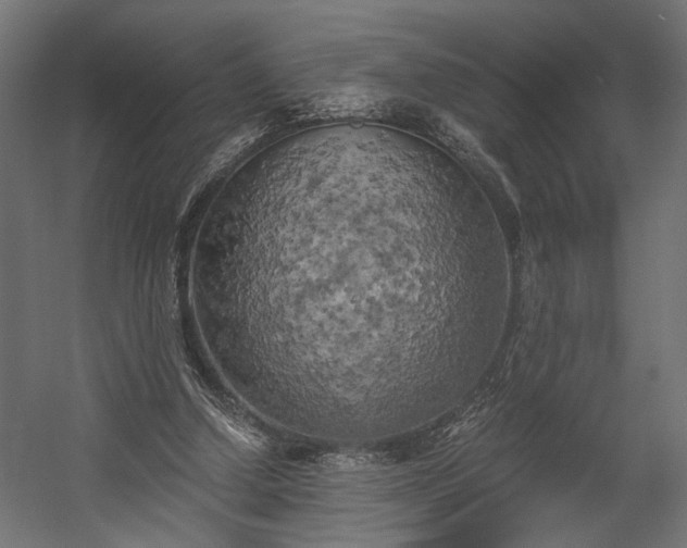 X0000058800250200510031328
