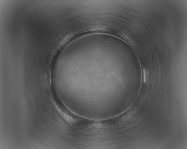 X0000058800253200510031328