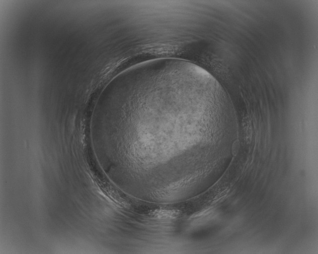 X0000058800255200510031328