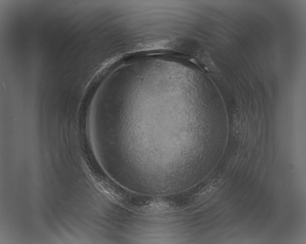 X0000058800256200510031328