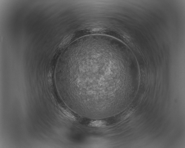 X0000058800269200510031328