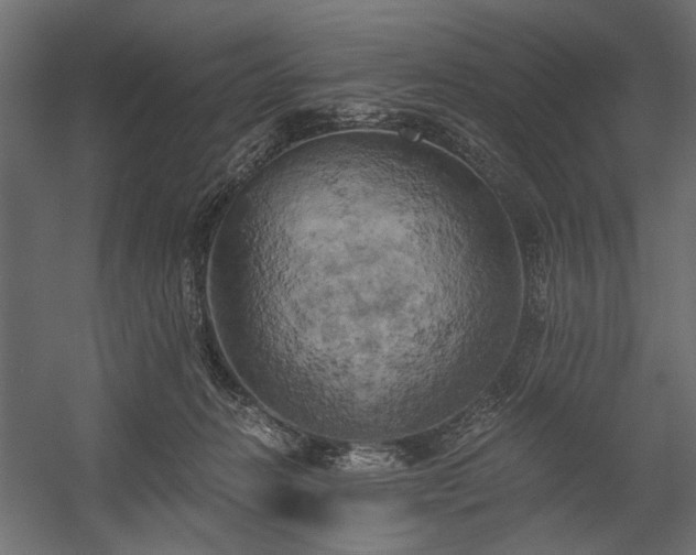 X0000058800270200510031328